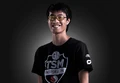 WildTurtle