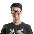 WildTurtle