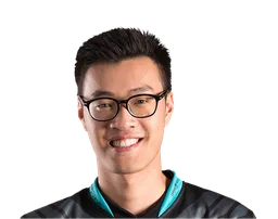 WildTurtle
