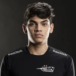 Zirigui