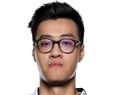 WildTurtle