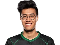 WildTurtle