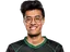 WildTurtle