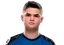 Oscarinin