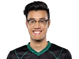 WildTurtle
