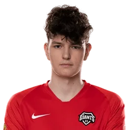 Erdote
