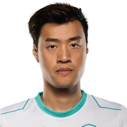 WildTurtle