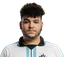 Cavalo