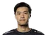 WildTurtle