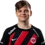 DizL