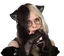 Miella
