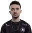 Zoelys