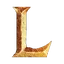 GSG