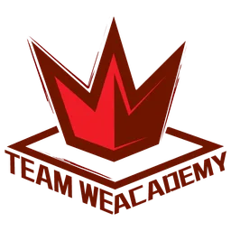 Team WE Academy