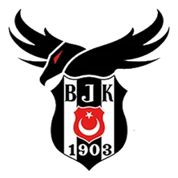 Beşiktaş Esports