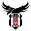 Beşiktaş Esports