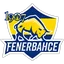 Fenerbahçe Esports
