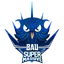 SuperMassive Esports