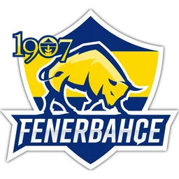 Fenerbahçe Esports