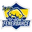 Fenerbahçe Esports