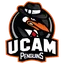 Penguins