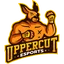 Uppercut esports