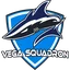 Vega Squadron