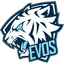 EVOS Esports