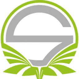 Team Singularity