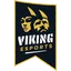 Viking Esports (Norwegian Team)