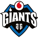 Vodafone Giants.Spain