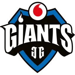 Vodafone Giants.Spain