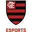 Flamengo Esports
