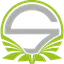 Team Singularity