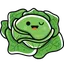Cabbage Family