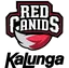 RED Canids
