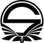 Team Singularity