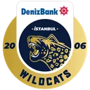 Istanbul Wildcats