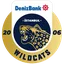 Istanbul Wildcats