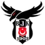 Beşiktaş Esports