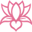 Team Bliss