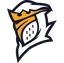 Fog Esports