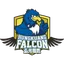 Hungkuang Falcon