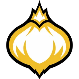 Onion Team