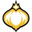 Onion Team