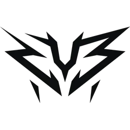ZYB Esport